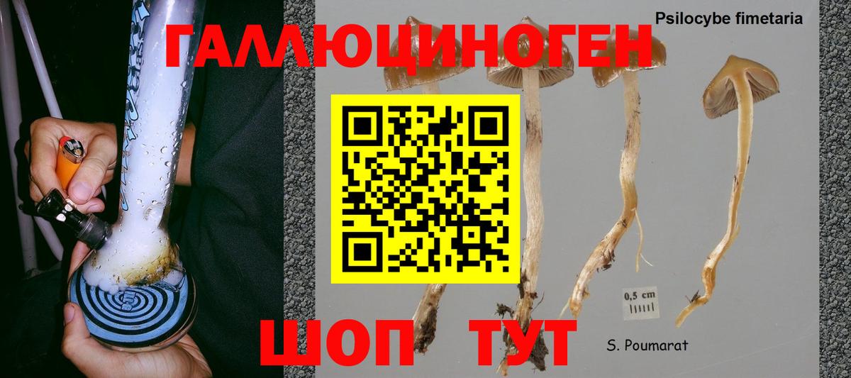 Псилоцибиновые грибы Cubensis  Вход с VPN  Сатка 