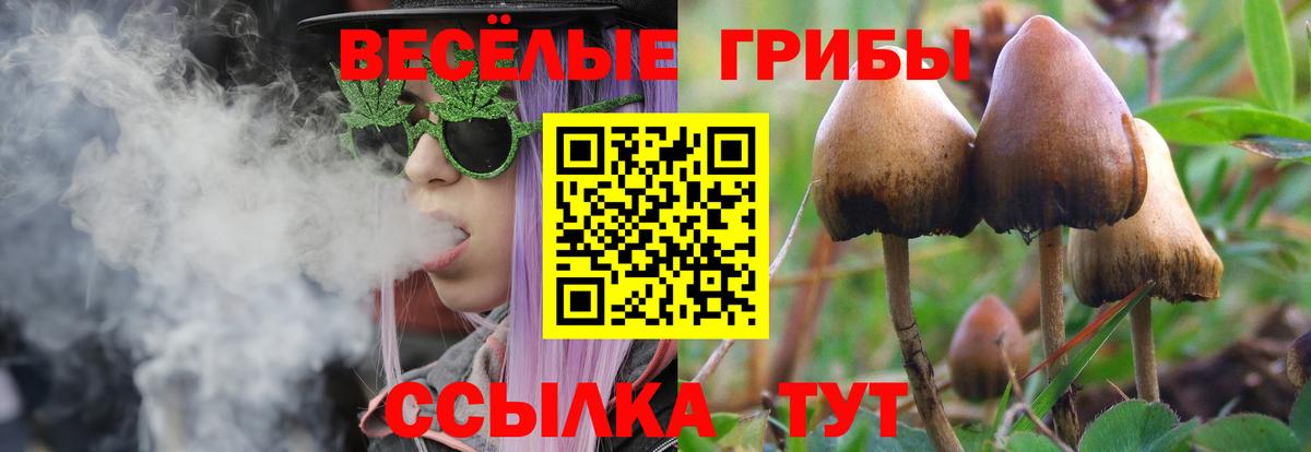 Галлюциногенные грибы мицелий Сатка